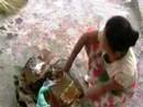 Street Hawkers In Burma Video