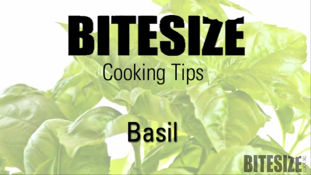 Tips To Use Basil Video