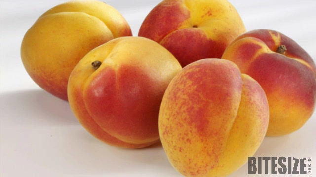 All About Apricot Video