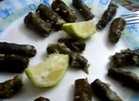 Vine Leaves Stuffed With Rice And Meat Video