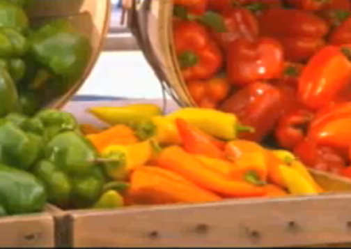 Opening Of Boston Public Market Video