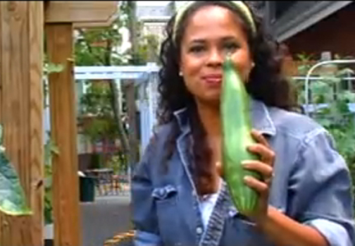 How To Plant Cucumber Vines Video