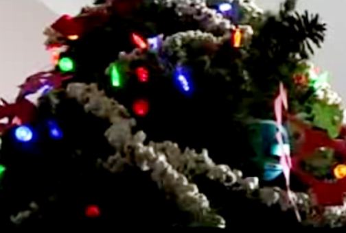 Tips To Celebrate Eco Friendly Christmas Video