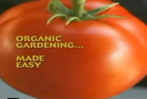 An Everyday Guide To Organic Living Video