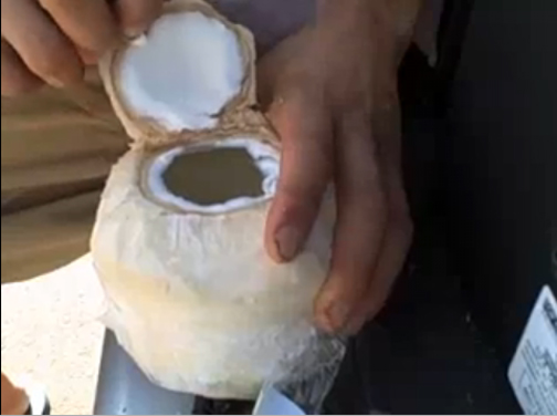 Opening A Young Coconut Video