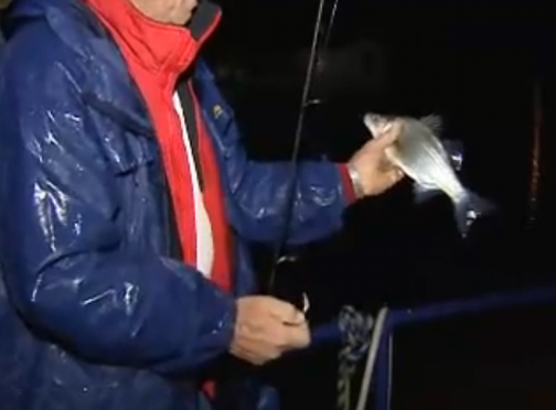 Tips On Hybrid Fishing Under Lights Video