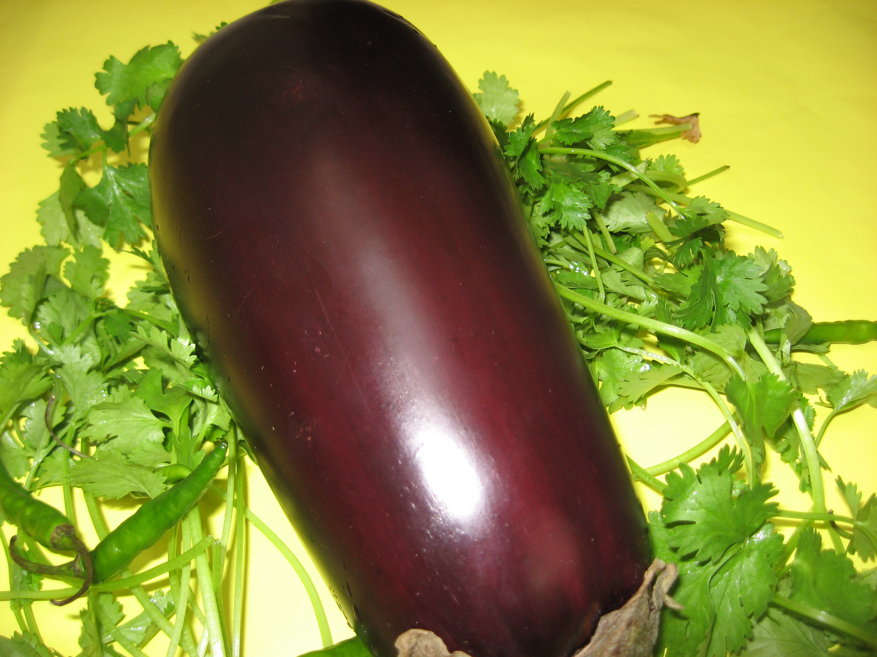 Cooking Japanese Egg Plant Video