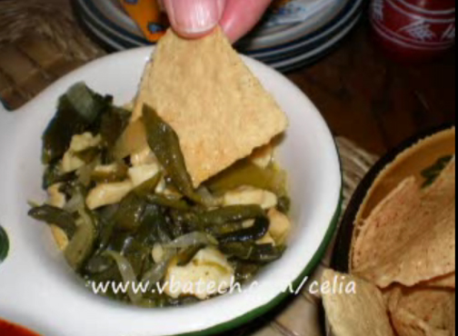 Samples Of Salsa From Celia's Kitchen Video