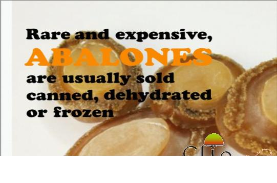 Buying And Storing Abalone Video