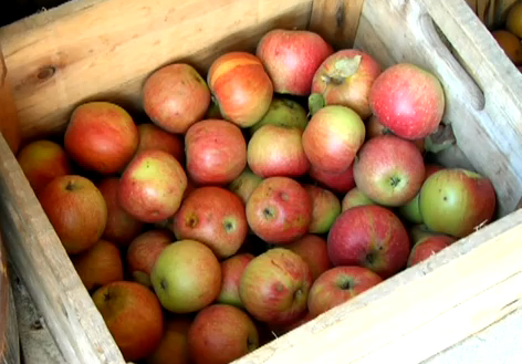 How To Craft Apples Video