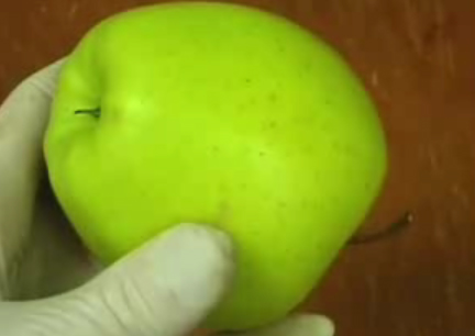 Identify A Fresh Apple  With A Apple Wrinkle Test Video