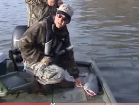 All About Blue Catfish Video