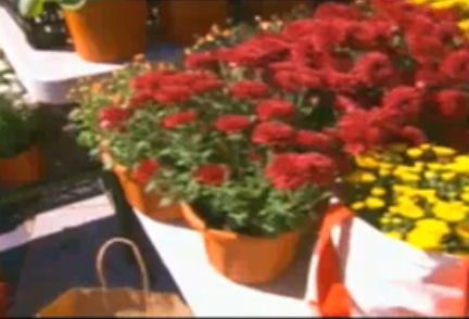 An Overview Of Boston Public Market Video