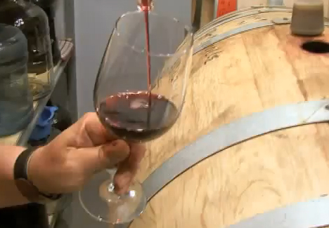 Arizona Wine Making Video