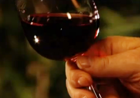 Enhance Wine Experience With Spin Wine Video