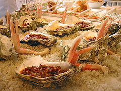 Delicious Oyster Cocktail