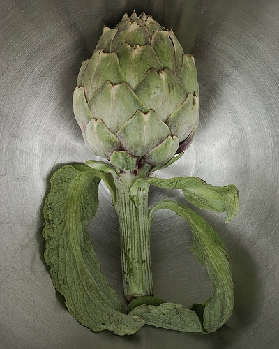 What Is An Artichoke