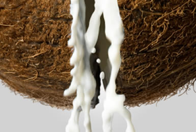 How To Make Coconut Cream From Fresh Coconuts