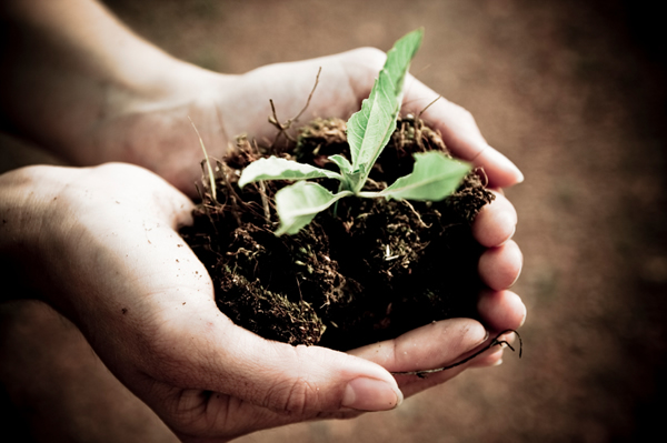 The New Recycling Era With Compost 