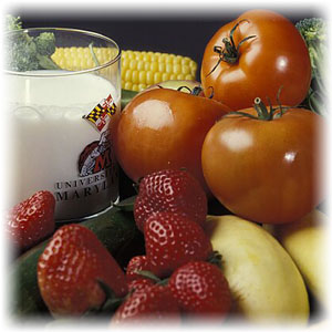 How To Focus On Nutrition While Eating - Forget About The Calories