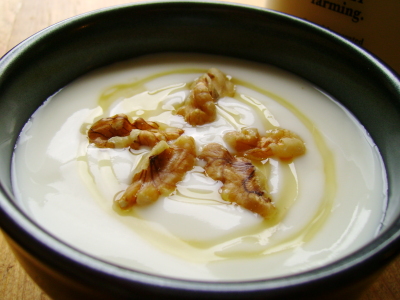 What Types of Yogurts Are Good for Stomach Disorders