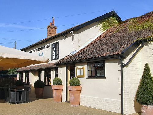 Top Restaurants in Norfolk