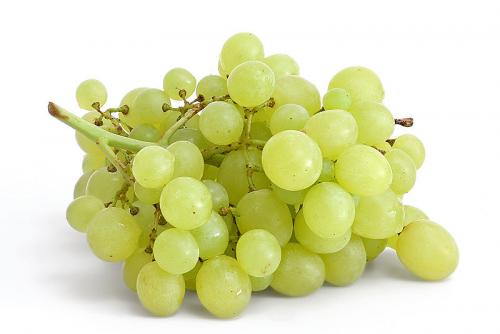 Grapes For Weight Loss
