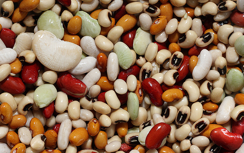 Legumes the source of inexpensive dishes