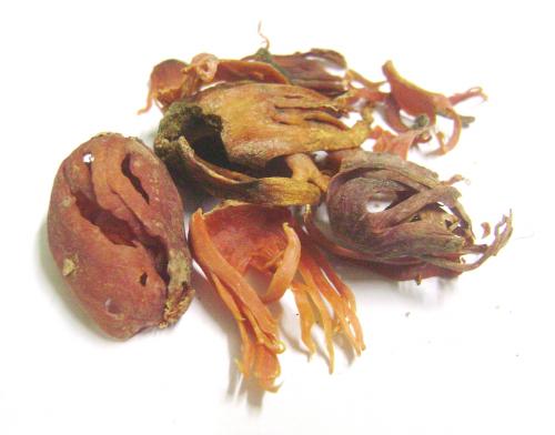 Mace Powder-usage & Health Benefits