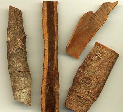 Cassia Powder-Usage & Health Benefits