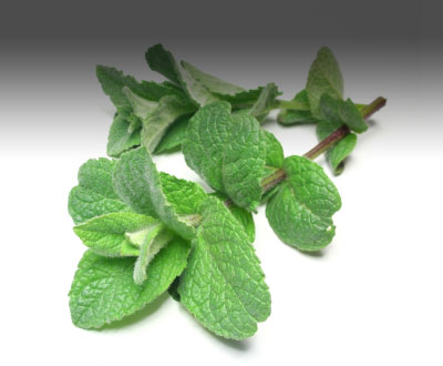 Peppermint Powder    Usage & Health Benefits