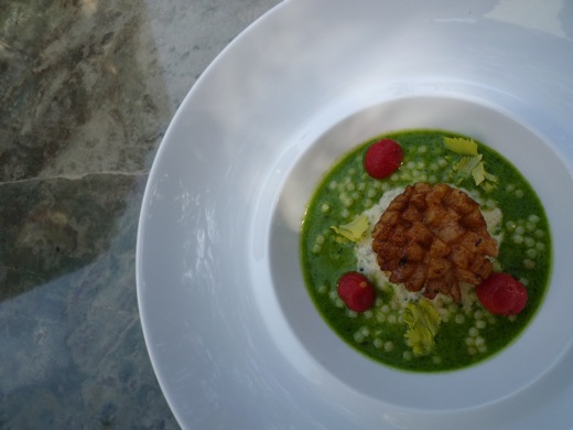 Basil Broth Health Benefits