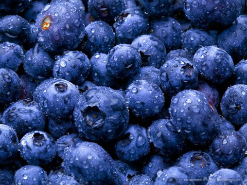 Effects of Antioxidants in Blueberry