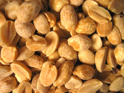 Top 10 Zinc Rich Foods For Children