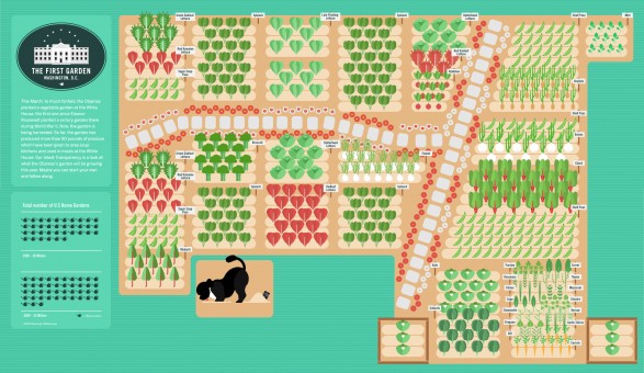 What's Growing At The White House Garden?