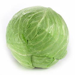 Best Cabbage Quotes