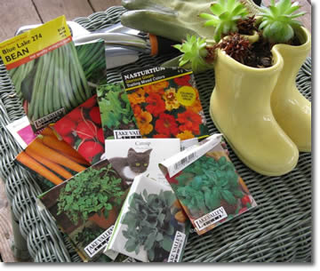 Finding the Joy of Growing Your Own Food