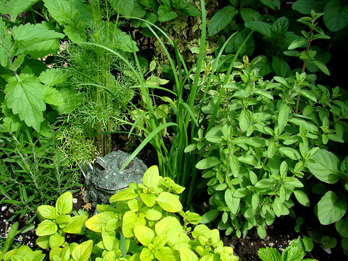 Spring Pesto