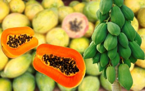 10 Reasons To Eat Papaya For Breakfast