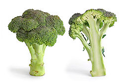 Folic Acid In Broccoli Cures Allergies & Asthma