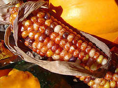 How To Cook Corn?