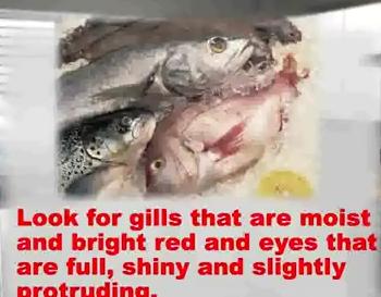 How To Buy Fresh Fish Video