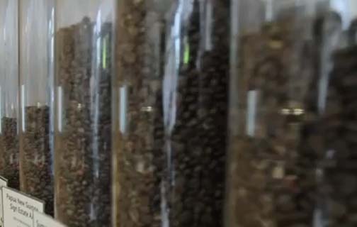 Greatest Roasting Plant Coffee Review Video