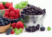 Berries Lower Parkinsons Risk In Men!