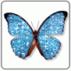 Aartip profile page