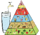 Nutri Foodie profile page