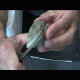 About Shucking Clams In Record Time