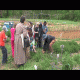 About Fresh Ingredients Starts with the Freshest Ingredients
