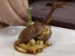 Cepage Restaurant Review