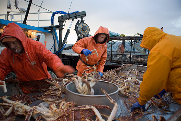Bp Oil Spill Spells Trouble For The Gulf Coast Seafood Industry